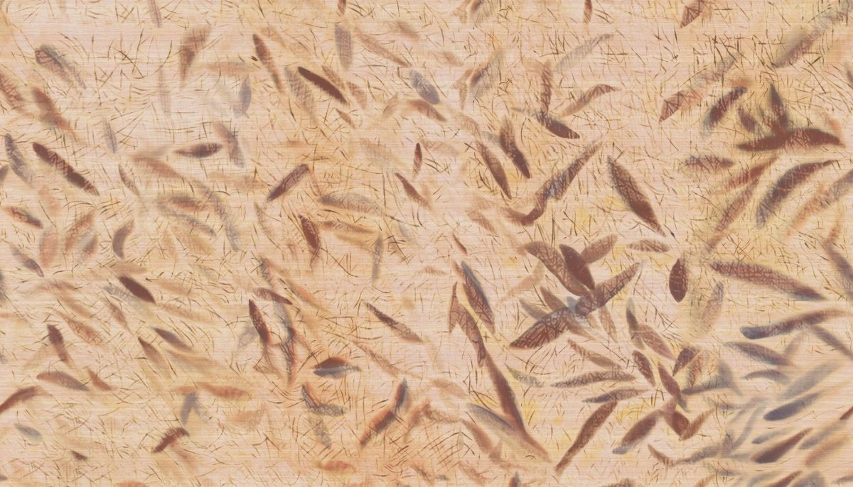 ÉLITIS Cérès Behang VP 1014 01 - LAB COLOUR THE WORLD