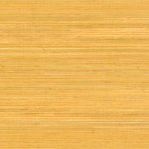 ÉLITIS Coiba Behang RM 110 20 - LAB COLOUR THE WORLD