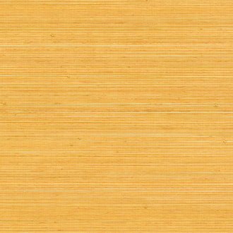 ÉLITIS Coiba Behang RM 110 20 - LAB COLOUR THE WORLD