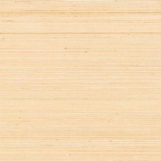 ÉLITIS Coiba Behang RM 110 50 - LAB COLOUR THE WORLD