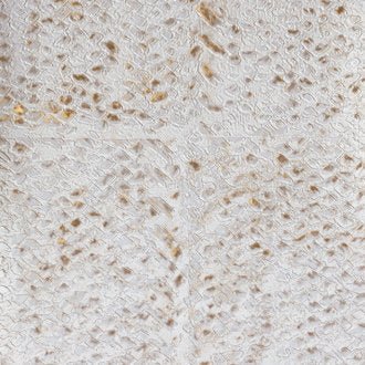 ÉLITIS Laca Salvaje Behang VP 916 03 - LAB COLOUR THE WORLD