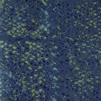 ÉLITIS Laca Salvaje Behang VP 916 12 - LAB COLOUR THE WORLD