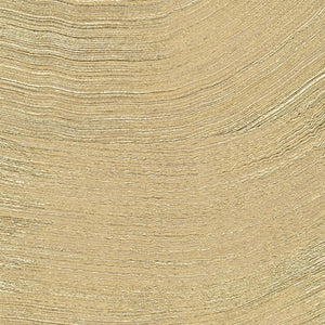 ÉLITIS Lanzarote Calero metal Behang VP 1029 91 - LAB COLOUR THE WORLD