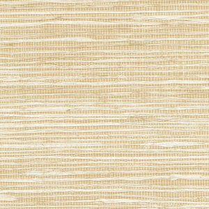 ÉLITIS Madagascar Arrowroot Raw Raffia Behang VP 1050 01 - LAB COLOUR THE WORLD