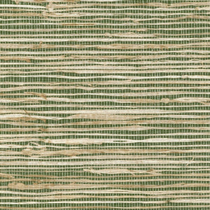 ÉLITIS Madagascar Arrowroot Raw Raffia Behang VP 1050 61 - LAB COLOUR THE WORLD