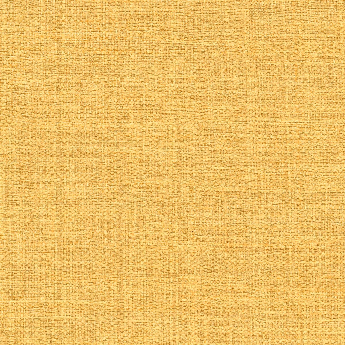 ÉLITIS Madagascar Arrowroot Raw Raffia Behang VP 731 22 - LAB COLOUR THE WORLD