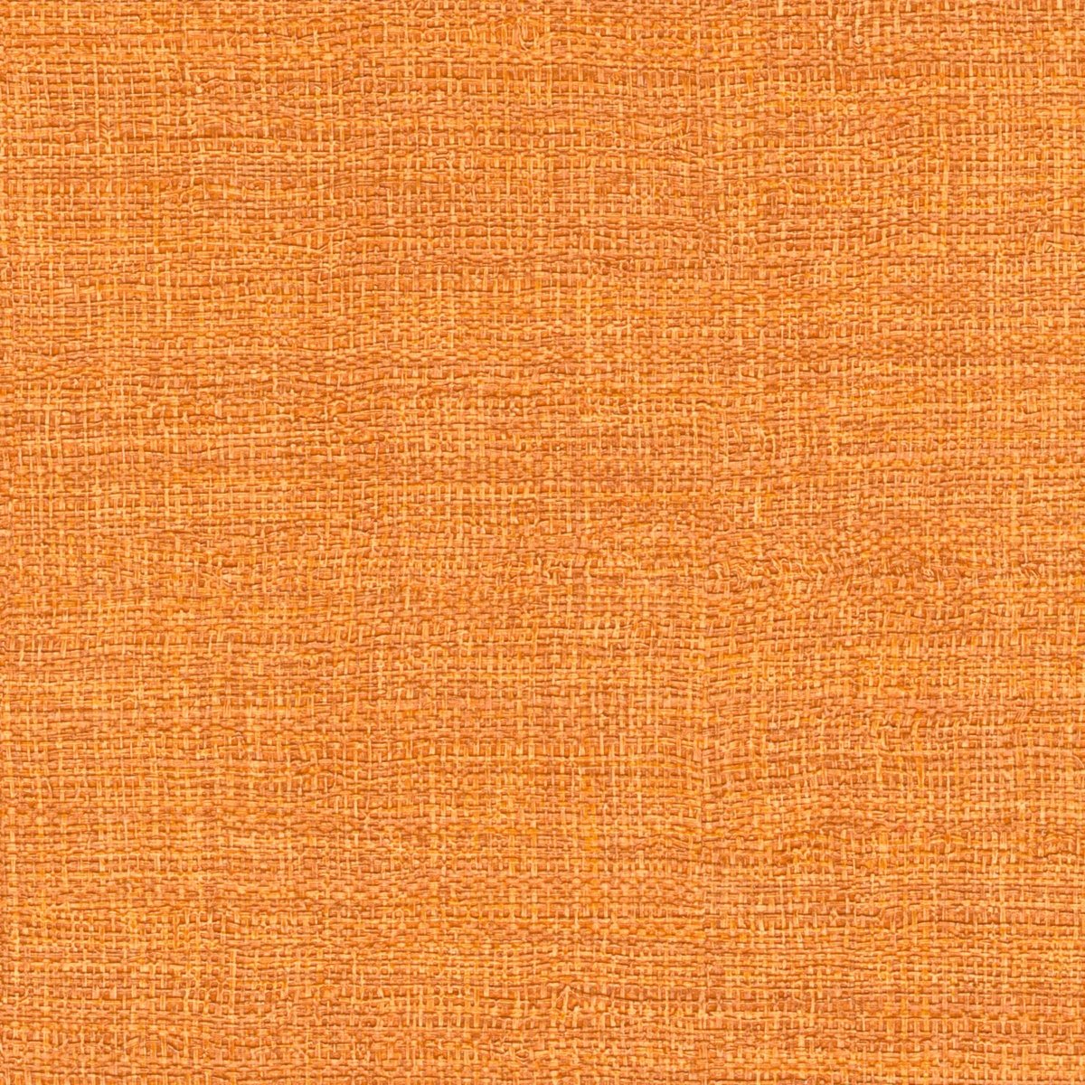 ÉLITIS Madagascar Arrowroot Raw Raffia Behang VP 731 37 - LAB COLOUR THE WORLD