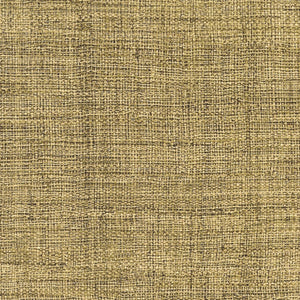 ÉLITIS Madagascar Arrowroot Raw Raffia Behang VP 731 40 - LAB COLOUR THE WORLD