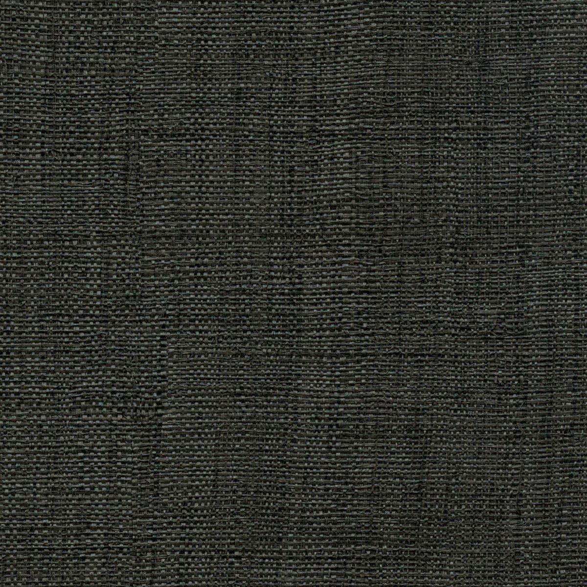 ÉLITIS Madagascar Arrowroot Raw Raffia Behang VP 731 41 - LAB COLOUR THE WORLD