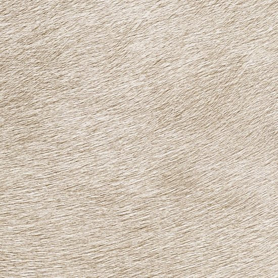 ÉLITIS Movida Behang VP 625 40 - LAB COLOUR THE WORLD