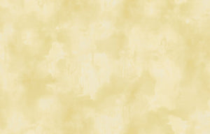 Élitis Ortigia Agrigente behang VP 960 86 - LAB COLOUR THE WORLD
