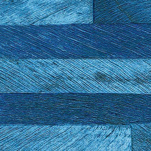 ÉLITIS Pâna Behang VP 893 42 - LAB COLOUR THE WORLD