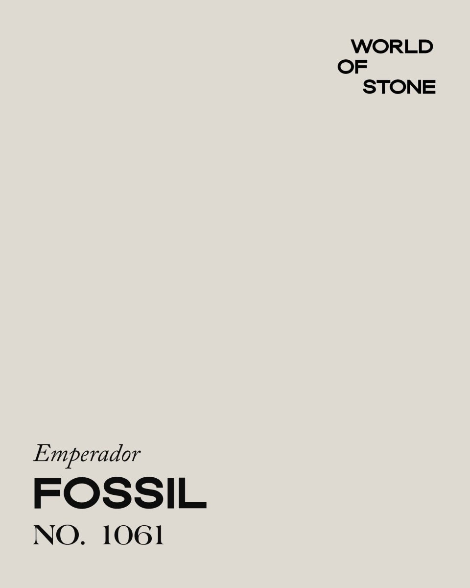 EMPERADOR FOSSIL NO. 1061 - LAB COLOUR THE WORLD