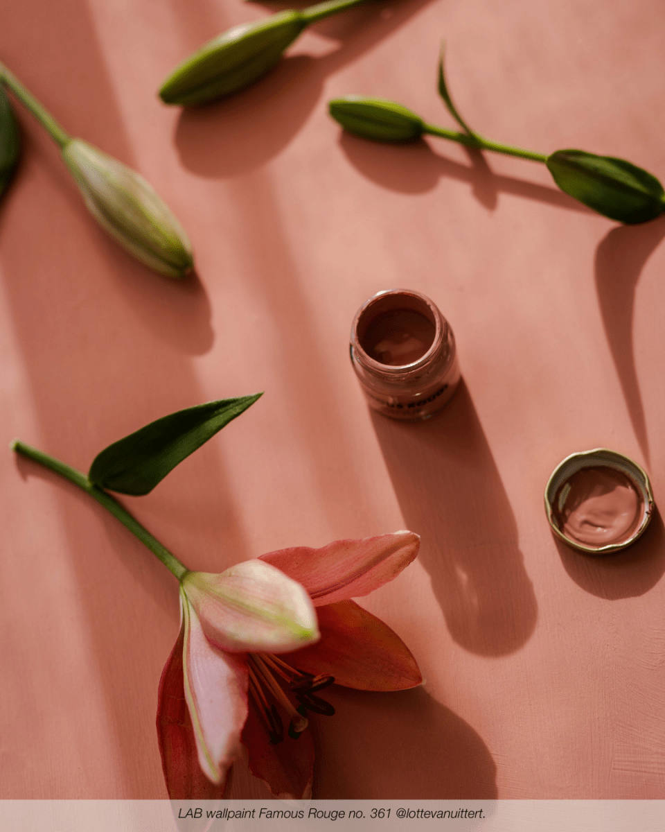 FAMOUS ROUGE NO. 361 - LAB COLOUR THE WORLD