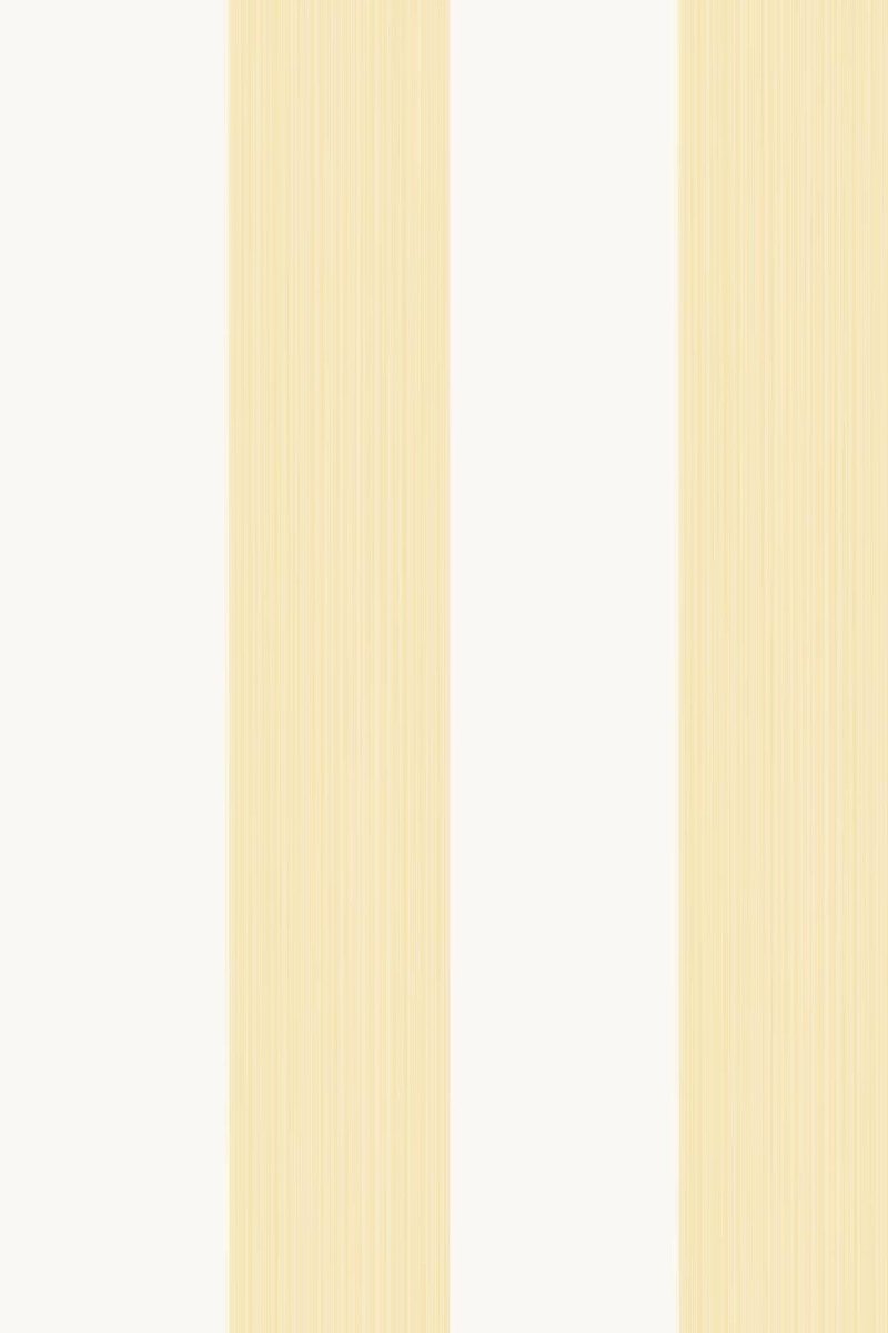 Farrow & Ball Broad Stripe Behang OT1319 - LAB COLOUR THE WORLD