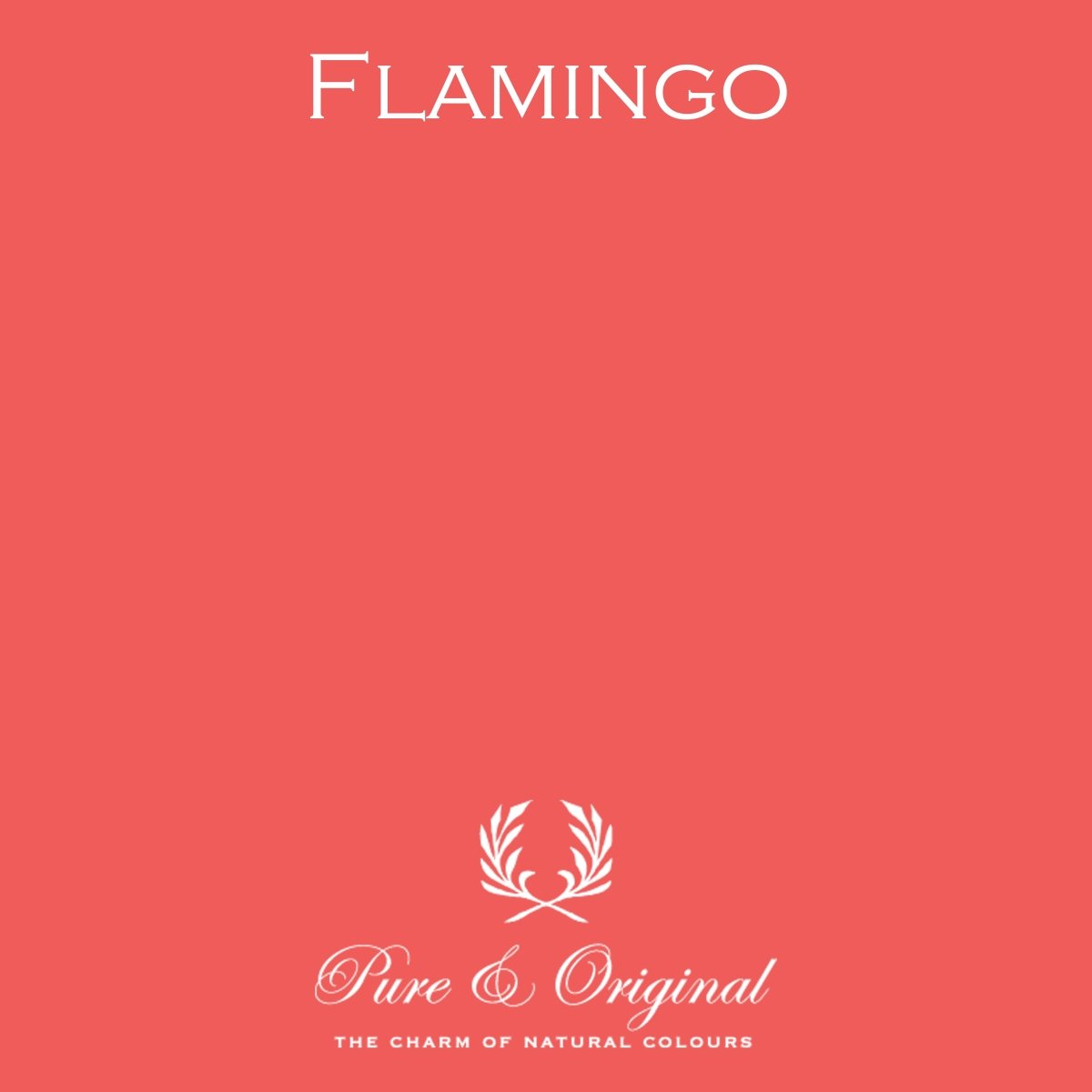 Flamingo - LAB COLOUR THE WORLD