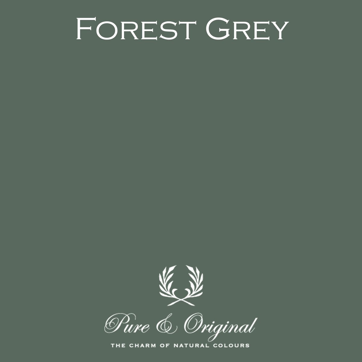Forest Grey - LAB COLOUR THE WORLD