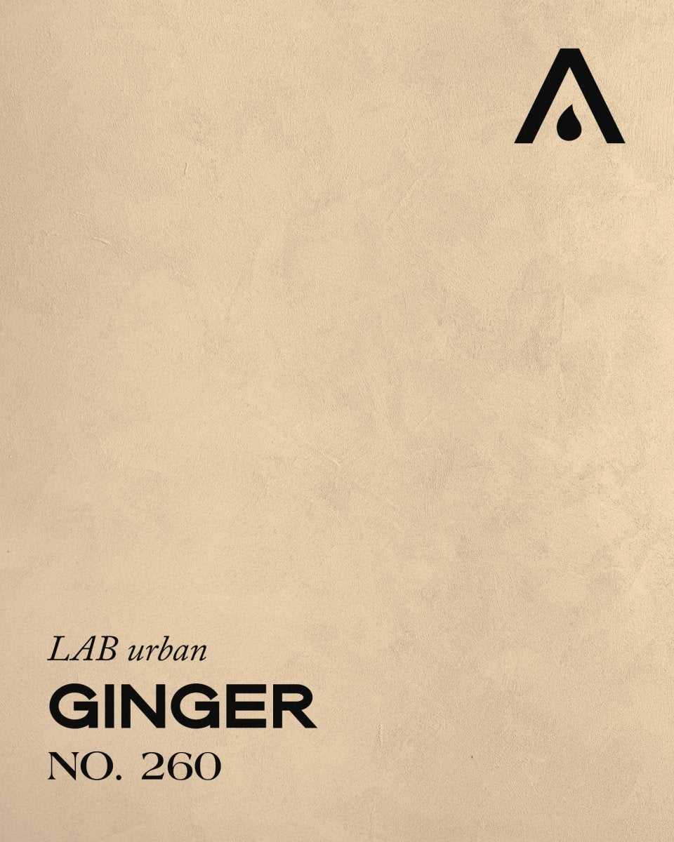 GINGER NO. 260 - LAB COLOUR THE WORLD