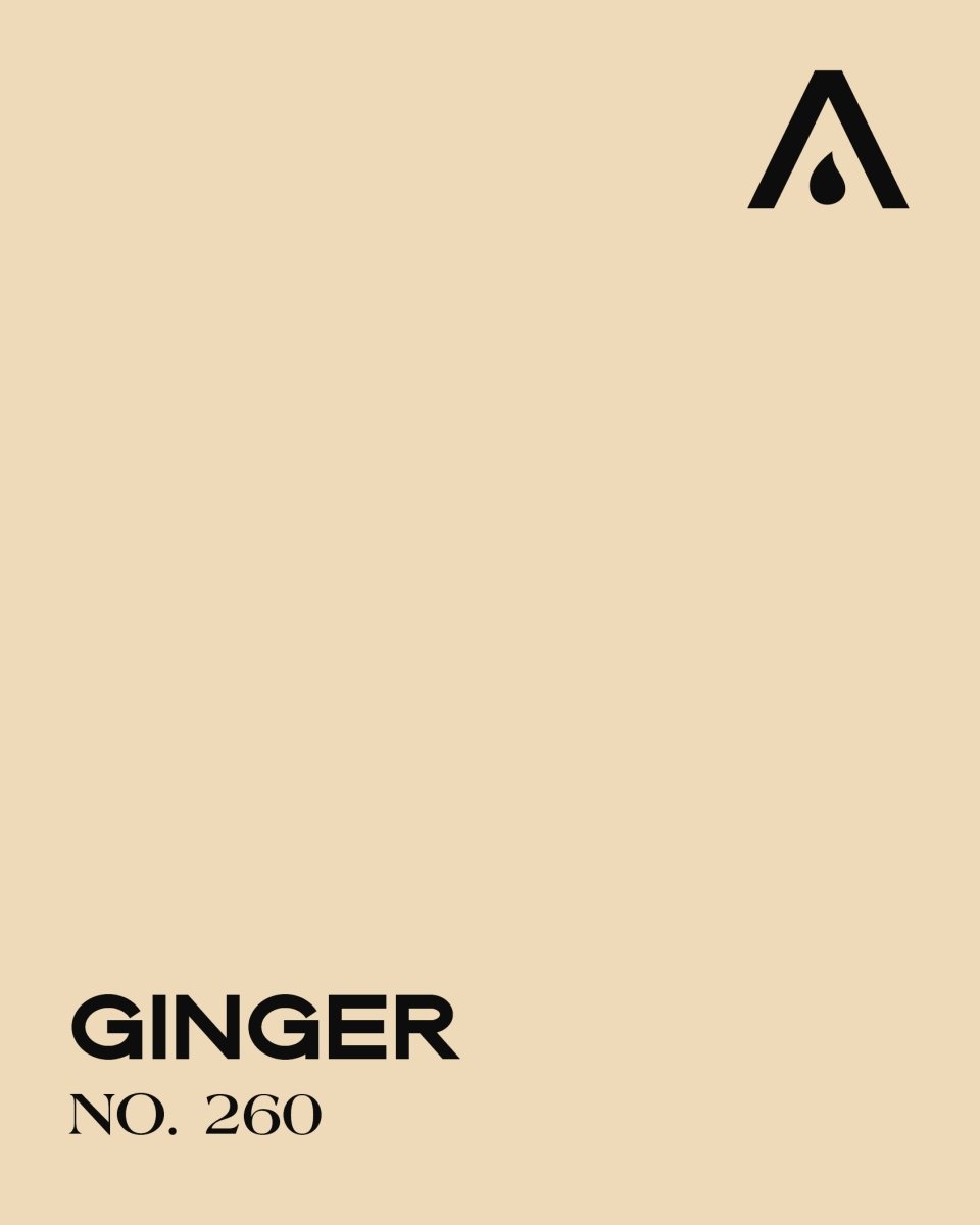 GINGER NO. 260 - LAB COLOUR THE WORLD