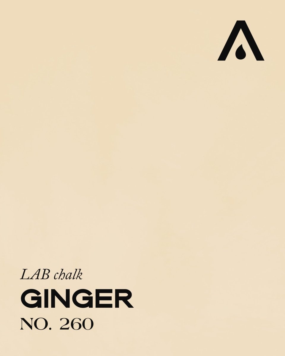 GINGER NO. 260 - LAB COLOUR THE WORLD