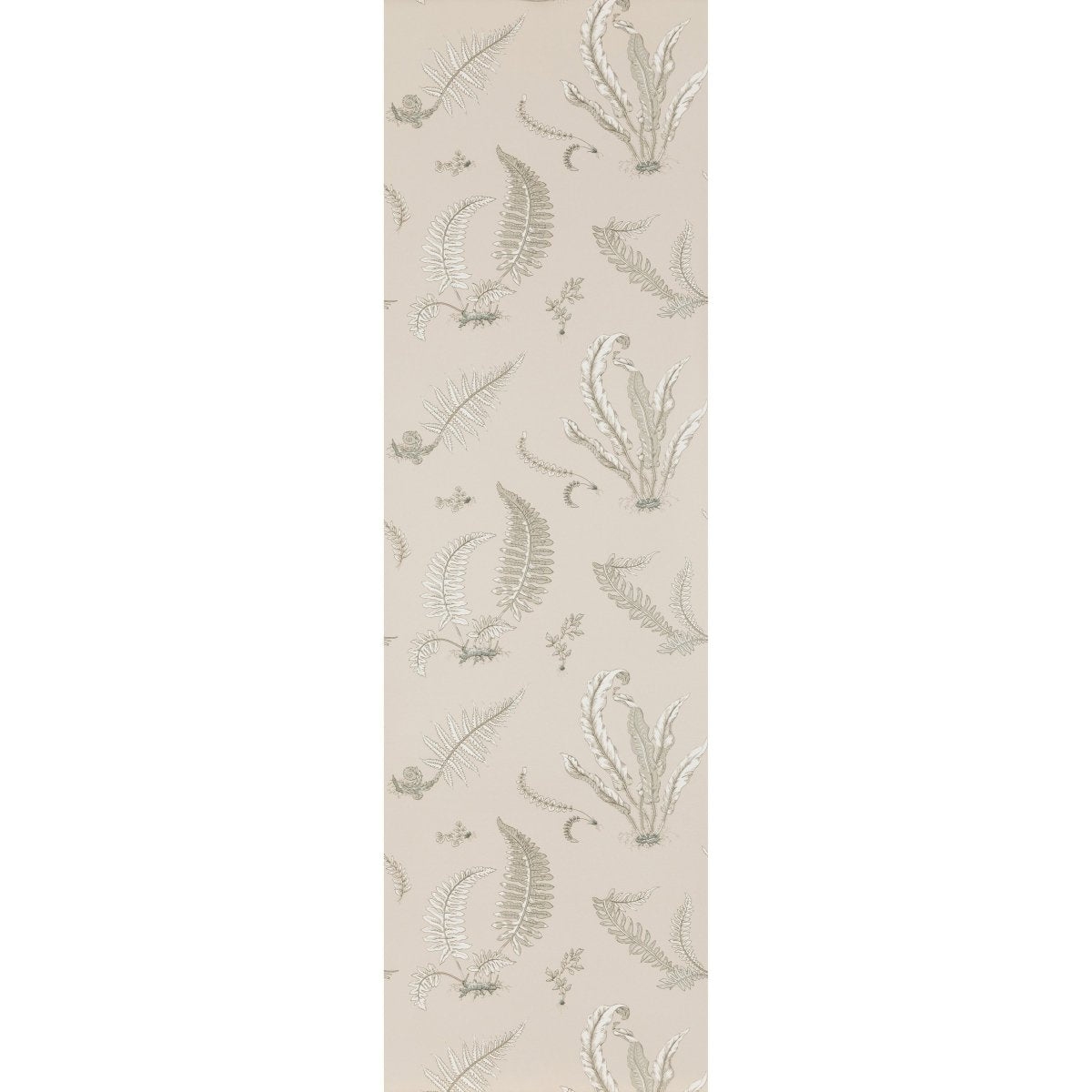 GP & J Baker Ferns Behang BW45044/8 - LAB COLOUR THE WORLD