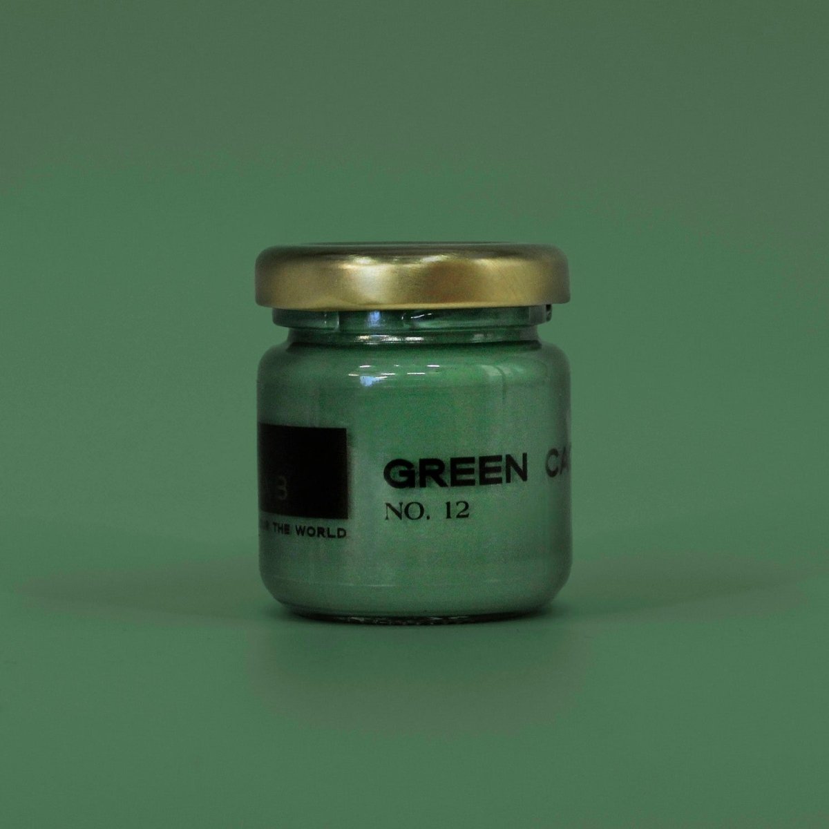 GREEN CACTUS NO. 12 - LAB COLOUR THE WORLD