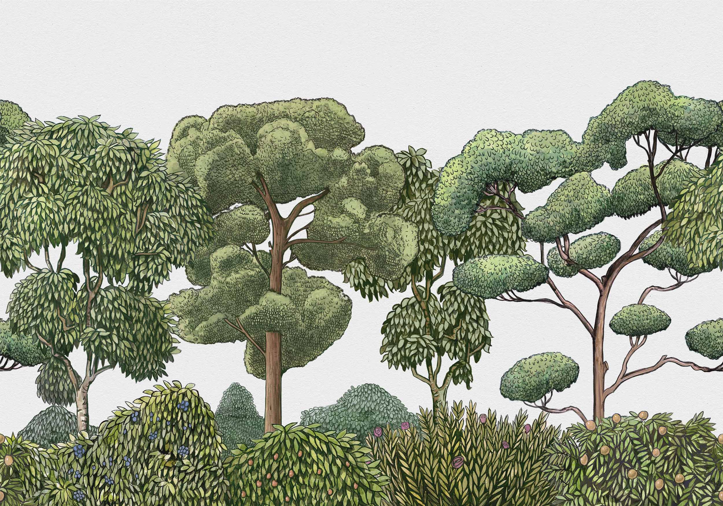 Coordonné Random Kids Green Forest behang 9700090 behang afbeelding 1