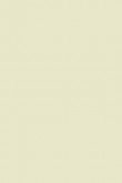 Green Ground no. 206 - LAB COLOUR THE WORLD