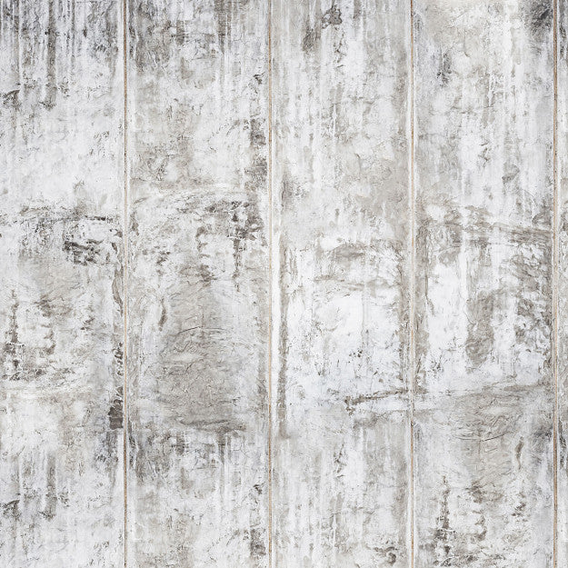 Les Dominotiers Grey Concrete Wall Gris Behang DOM 430