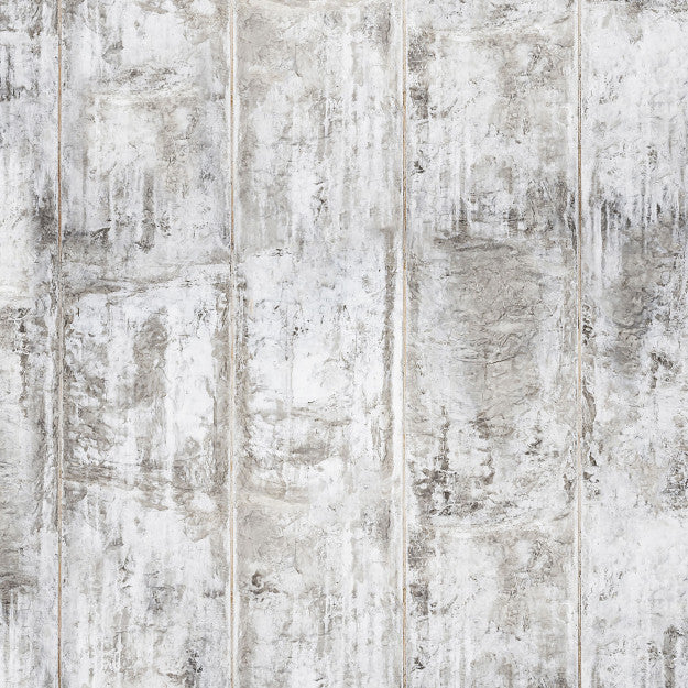 Les Dominotiers Grey Concrete Wall Gris Behang DOM 430