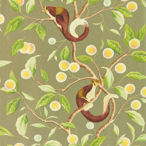 Harlequin Nellie Wide Width Behang 112904 - LAB COLOUR THE WORLD