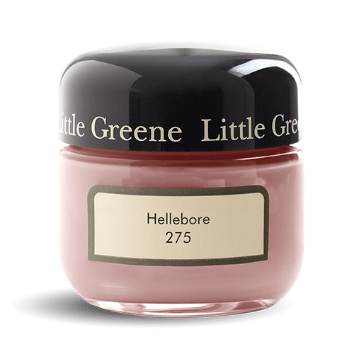 Hellebore no. 275 - LAB COLOUR THE WORLD