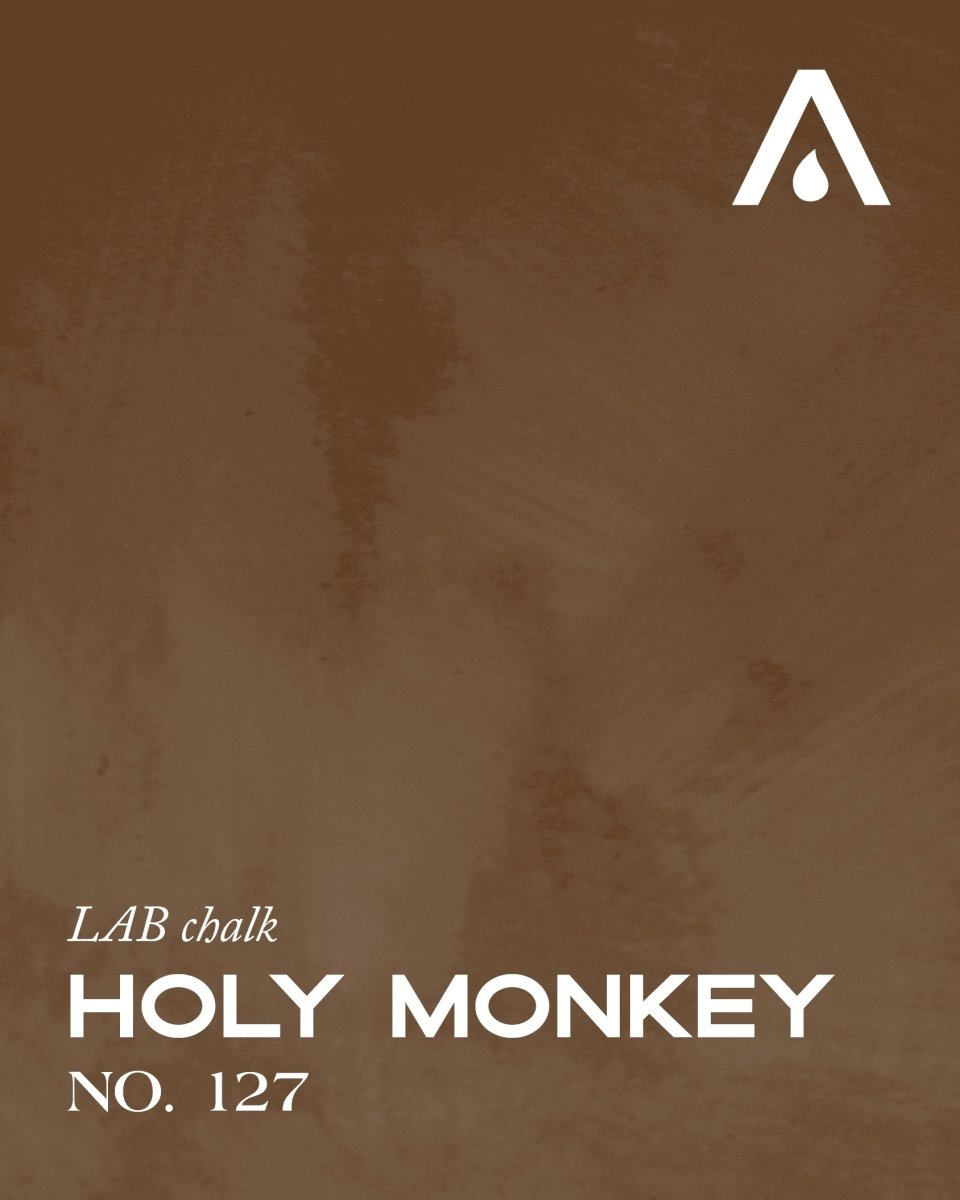 HOLY MONKEY NO. 127 - LAB COLOUR THE WORLD