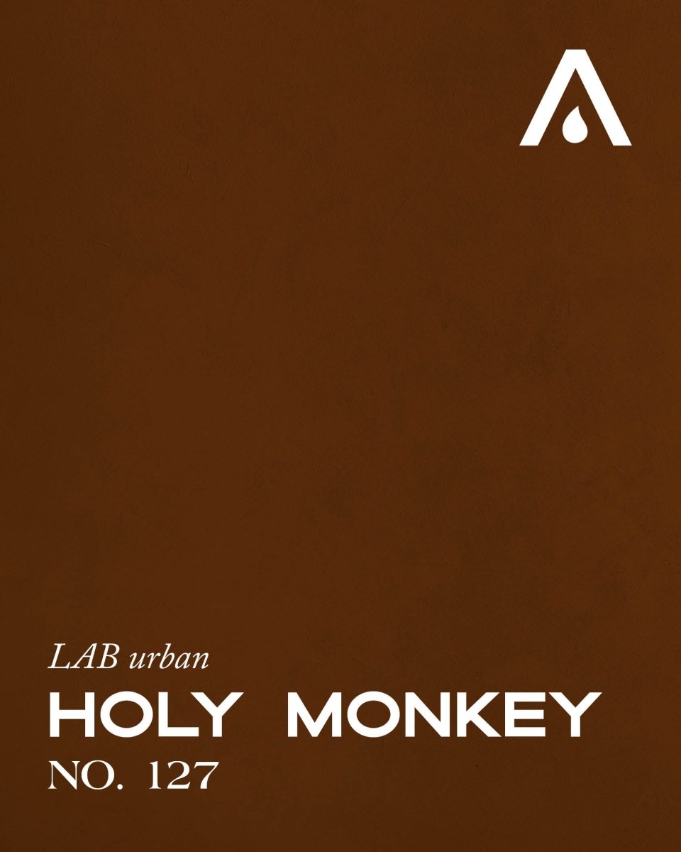 HOLY MONKEY NO. 127 - LAB COLOUR THE WORLD