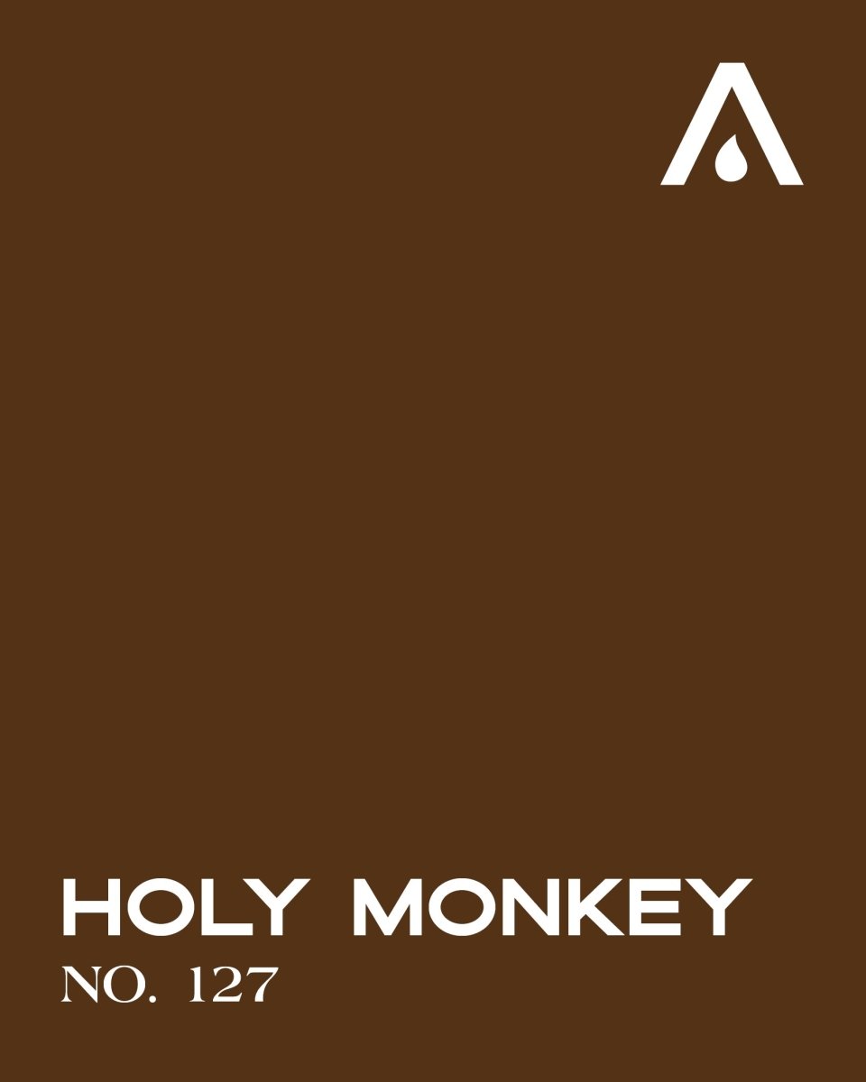 HOLY MONKEY NO. 127 - LAB COLOUR THE WORLD
