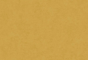 HookedOnWalls Affinity Plain behang AF24505 - LAB COLOUR THE WORLD