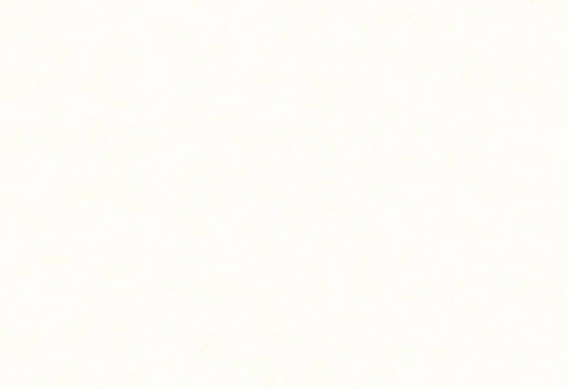 HookedOnWalls Caribbean Plain behang 27251 - LAB COLOUR THE WORLD