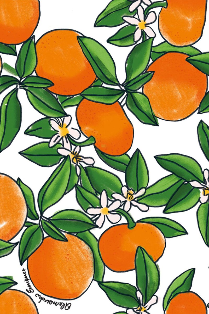 HookedOnWalls Enriquezland Tangerine behang 25540 - LAB COLOUR THE WORLD