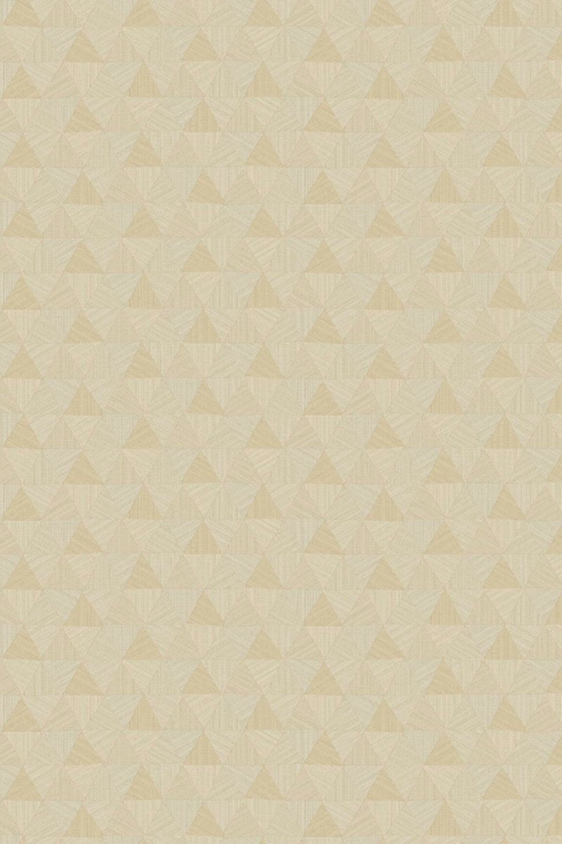 HookedOnWalls JV 602 Jaipur Triangles Tropicales behang 6831 - LAB COLOUR THE WORLD