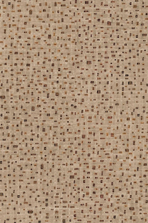 HookedOnWalls Jv 904 Stardust Kushiro 7521 - LAB COLOUR THE WORLD