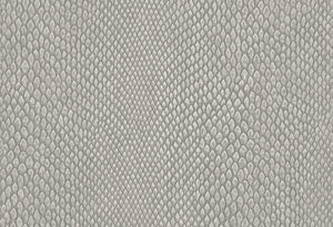 HookedOnWalls Leopard Walk Naja behang 15333 - LAB COLOUR THE WORLD