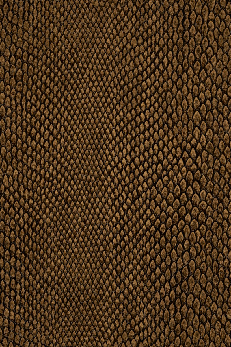 HookedOnWalls Leopard Walk Naja behang 15334 - LAB COLOUR THE WORLD