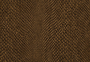 HookedOnWalls Leopard Walk Naja behang 15334 - LAB COLOUR THE WORLD