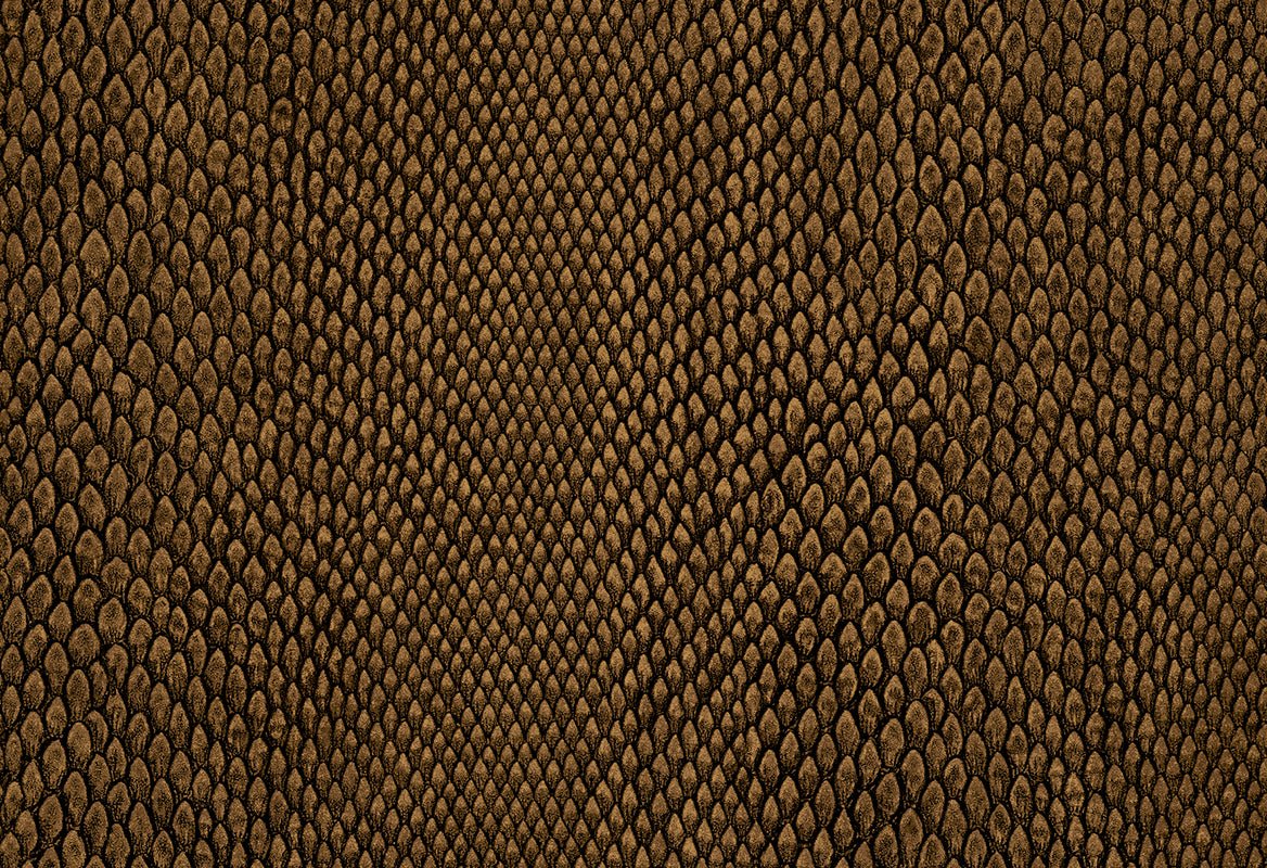 HookedOnWalls Leopard Walk Naja behang 15334 - LAB COLOUR THE WORLD