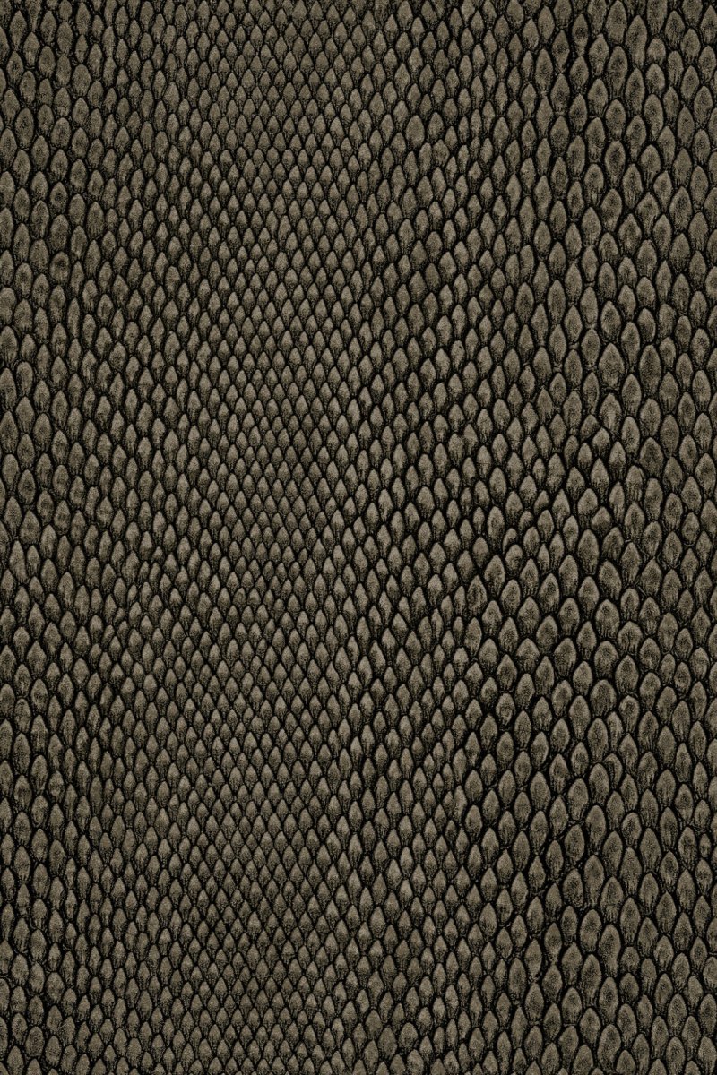 HookedOnWalls Leopard Walk Naja behang 15336 - LAB COLOUR THE WORLD