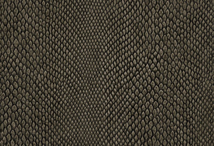 HookedOnWalls Leopard Walk Naja behang 15336 - LAB COLOUR THE WORLD