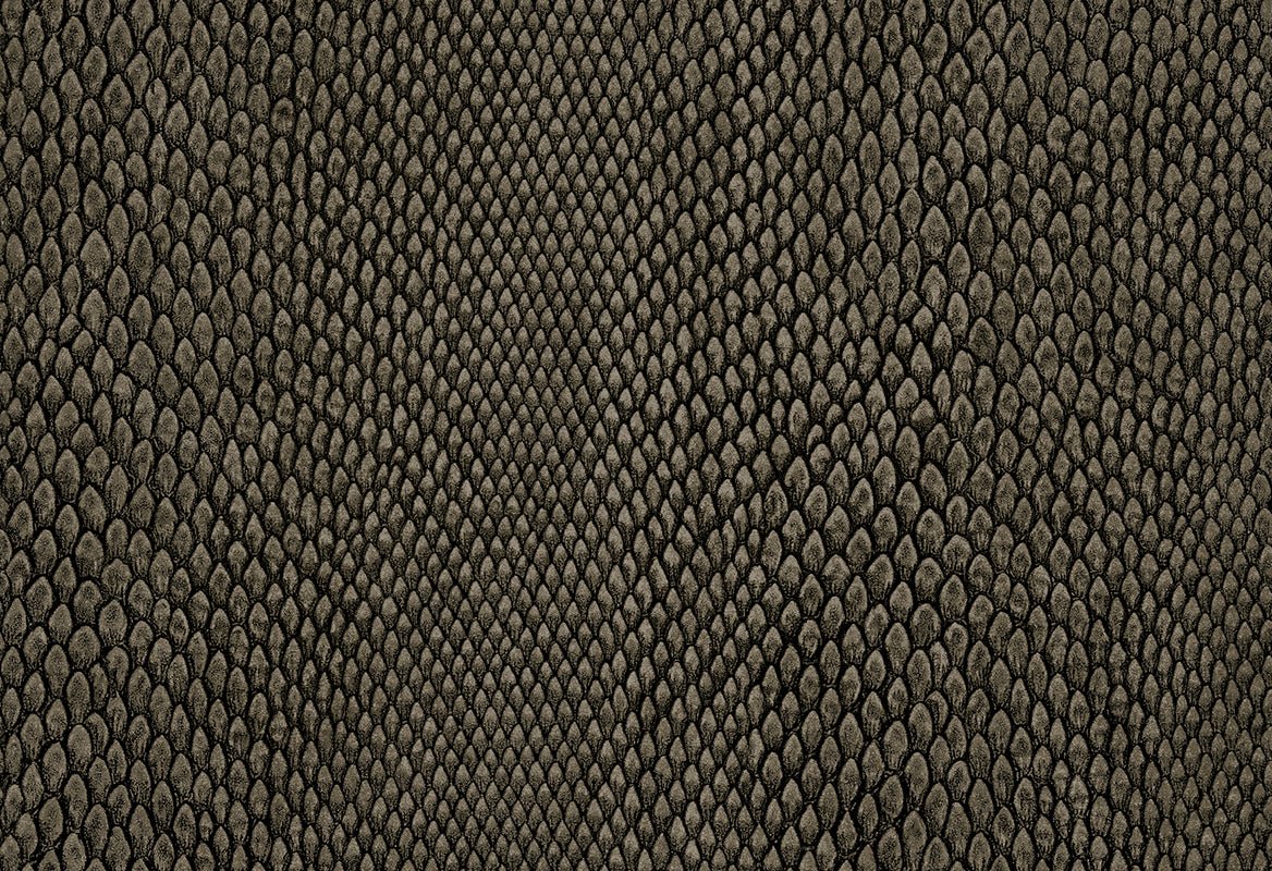 HookedOnWalls Leopard Walk Naja behang 15336 - LAB COLOUR THE WORLD