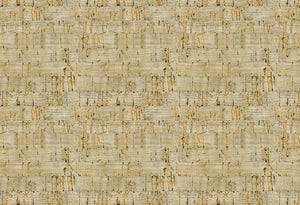 HookedOnWalls Leopard Walk Suber behang 15326 - LAB COLOUR THE WORLD