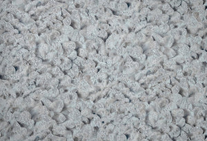 HookedOnWalls Liaison Lunaria behang 46311 - LAB COLOUR THE WORLD