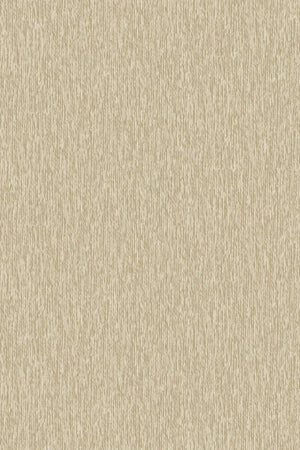 HookedOnWalls Long Island Beach 26233 - LAB COLOUR THE WORLD